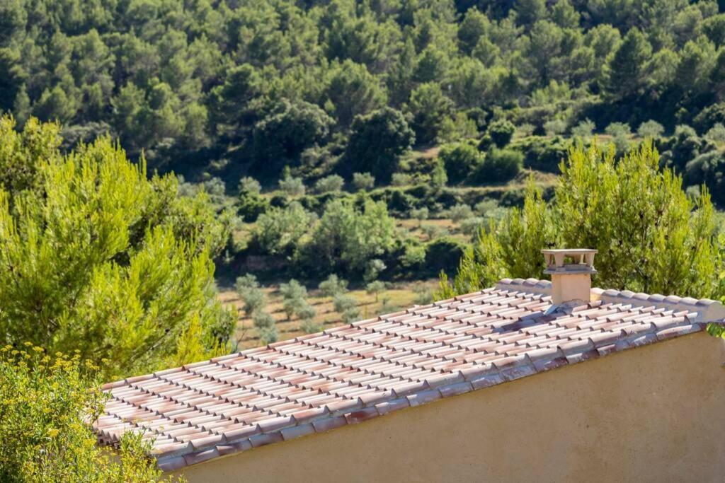 Vila L'Arbre A Soleil Aigues-Vives  Exteriér fotografie